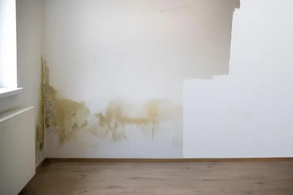 Evolve Stain Blocking Primer - Independent Dealer