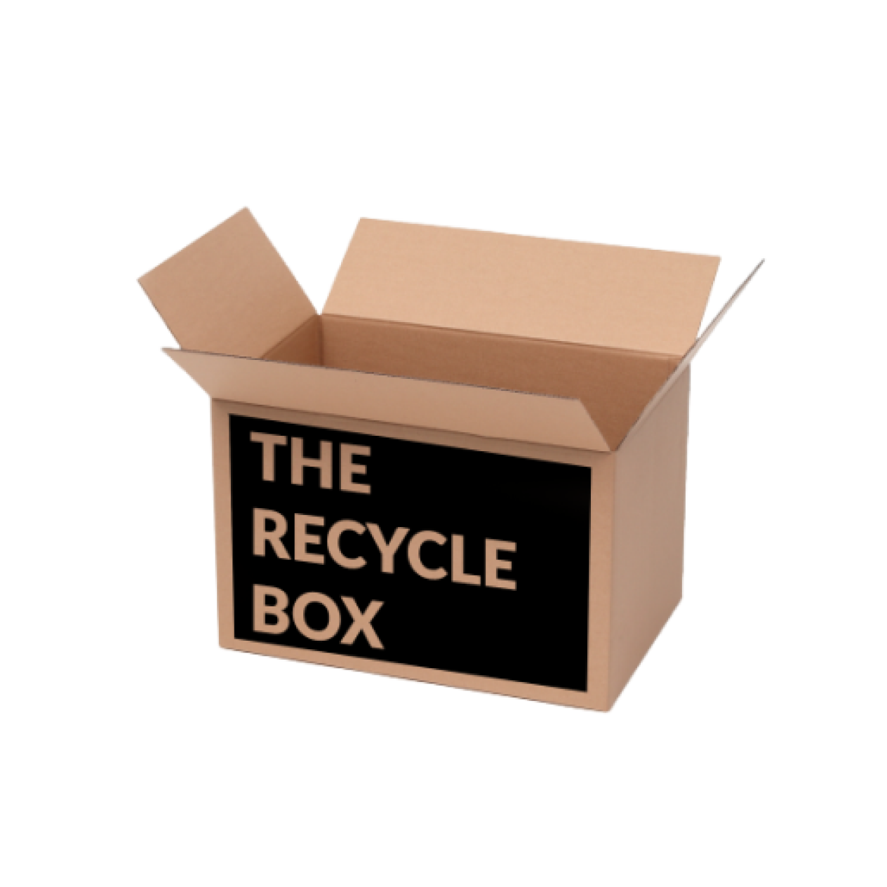 THE RECYCLE BOX