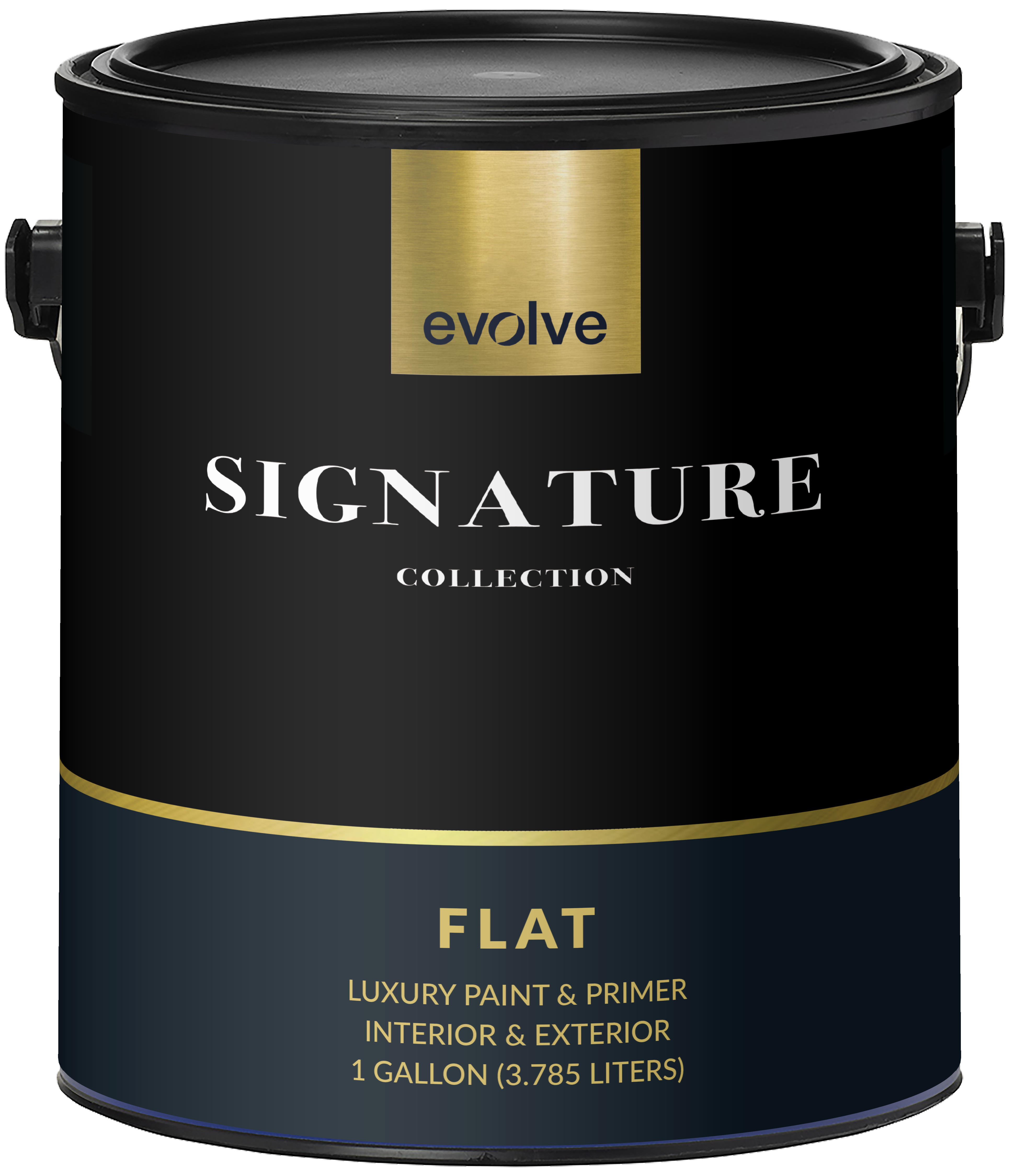 Evolve Signature Paint & Primer : Flat Sheen